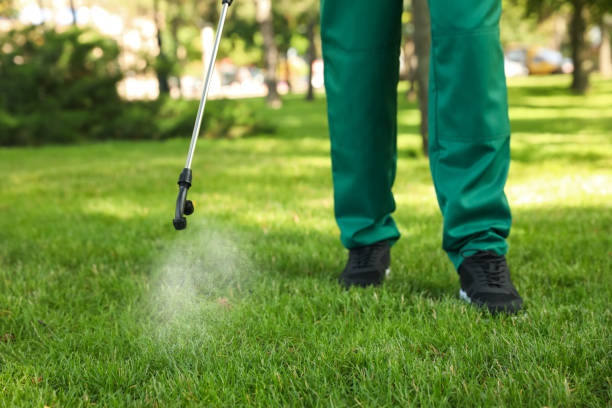 Pest Control for Restaurants in Bogota, NJ