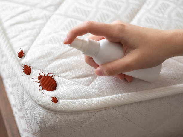 Best Wasp Removal Services  in Bogota, NJ