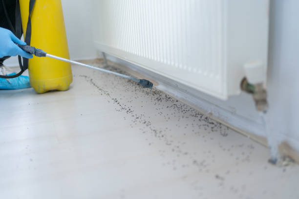 Best Exterminator Services  in Bogota, NJ